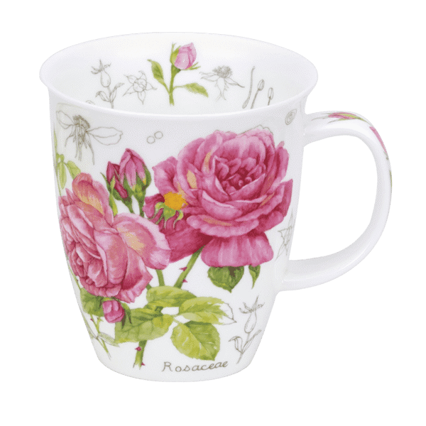 Bild von Dunoon Nevis Floral Sketch Rose